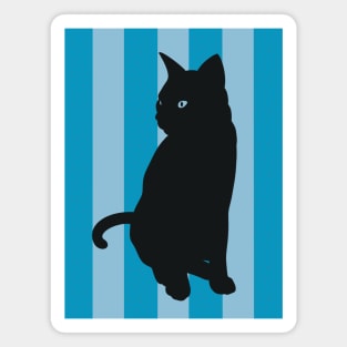 Black Cat Blue Magnet